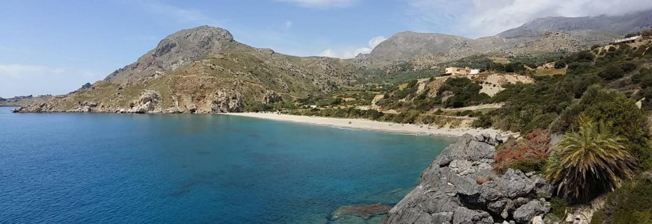Phoenix-Hotel Plakias Dış mekan fotoğraf